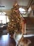 MerryChristmas from McTavish