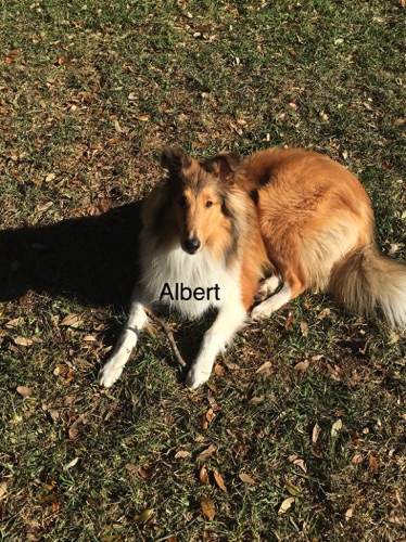 AlbertIMG_5358.jpg