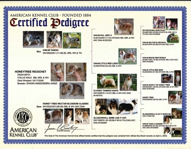 TangoxNectarPedigreePhotosIMG_7731.jpg