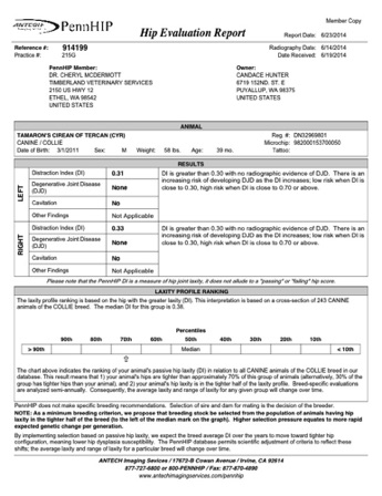 Cyr_Pennhip_Report.pdf
