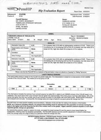 WashingtonSireHipReportPennHips.pdf