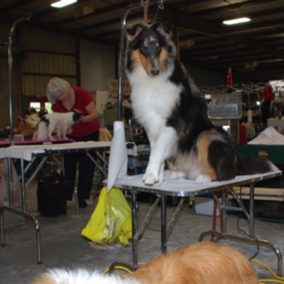 Delusion20091122sitGroomingArea_g2it19.jpg