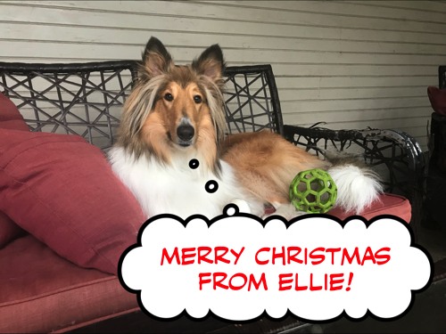 EllieIMG_9226.png
