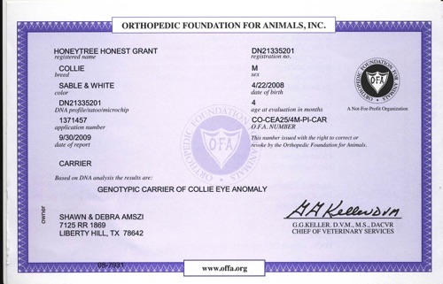 GrantCEAofaCertificate_g8it1.jpg GrantCEAofaCertificate_g8it1.jpg