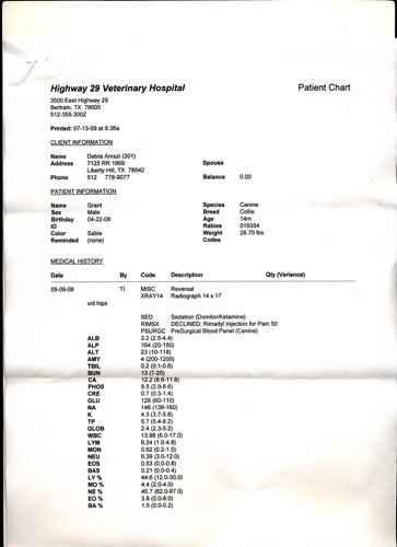 GrantHipPuppyXrayNoProblem_g8it3.jpg GrantHipPuppyXrayNoProblem_g8it3.jpg
