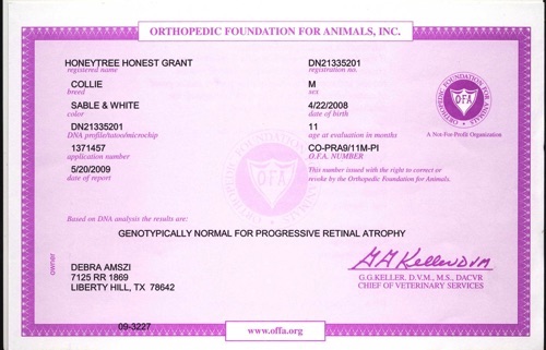 GrantPRAofaCertificate_g8it6.jpg GrantPRAofaCertificate_g8it6.jpg