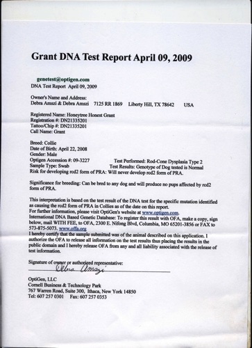 GrantPRAtestResult_g8it7.jpg GrantPRAtestResult_g8it7.jpg