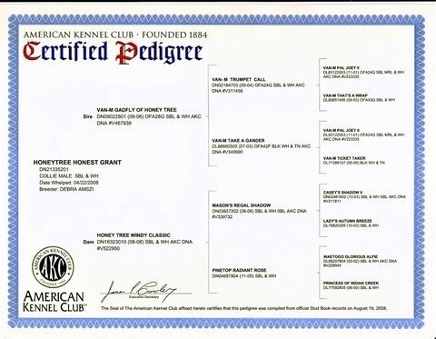 GrantPedigree2008_g8it2.jpg GrantPedigree2008_g8it2.jpg
