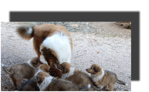 GrantWithLittleSiblings1_g9it33.png GrantWithLittleSiblings1_g9it33.png