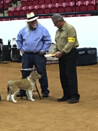GloryConformationShow20180818FtWorth.jpg