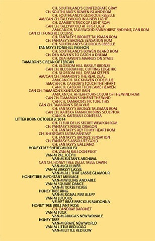 WashingtonPedigree455.jpg