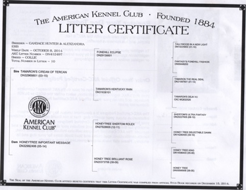WashingtonPedigreeLItterRecordCertificate_g10i83.jpeg