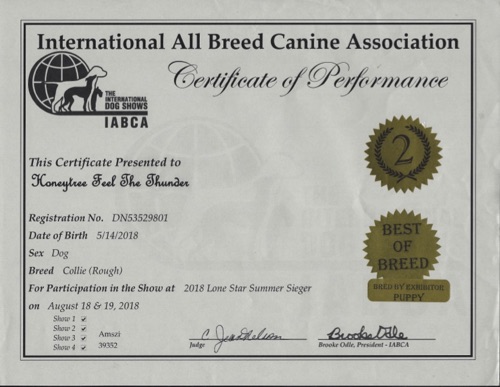 ThunderConformationCertificate20180818BredByBestOfBreedSecondPlaceJudgeCarolJeanNelson.jpg ThunderConformationCertificate20180818BredByBestOfBreedSecondPlaceJudgeCarolJeanNelson.jpg