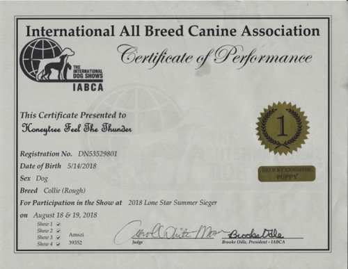 ThunderConformationCertificate20180818BredByFirstPlaceJudgeCarolWhiteMoser.jpg ThunderConformationCertificate20180818BredByFirstPlaceJudgeCarolWhiteMoser.jpg