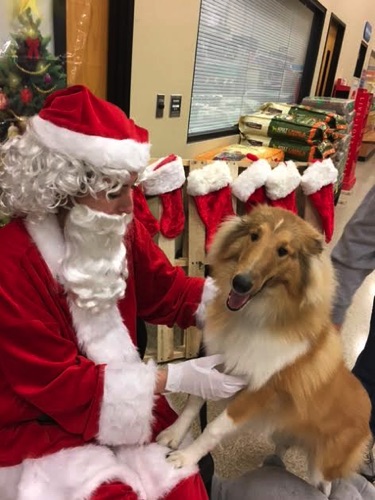 WafflesXmasFirstSanta.jpg WafflesXmasFirstSanta.jpg