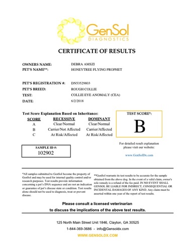 ProphetTestCEAcarriervxvGensolResult102902.pdf.jpg