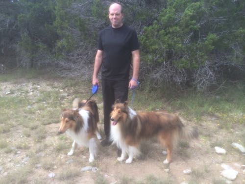 HollywoodHoneytreeColliesBehindTheScenes06collie.jpg