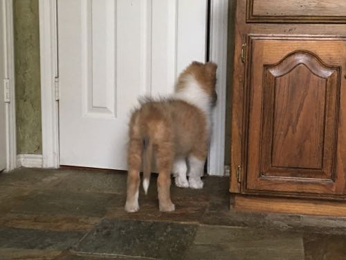 Waiting for the door to open Sooo Cute